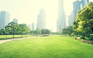 環境保護(Environmental)